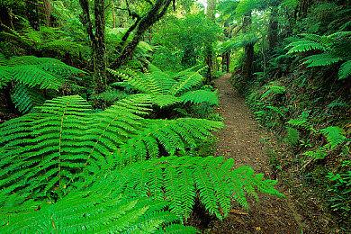 《上古卷轴5》“Skyblivion”MOD仍计划在今年年内推出